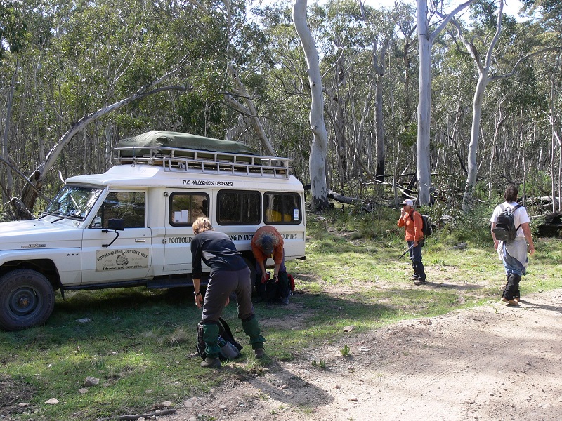 Arkana Mt Stradbroke Walking Track Nov 2006 J Heywood 568