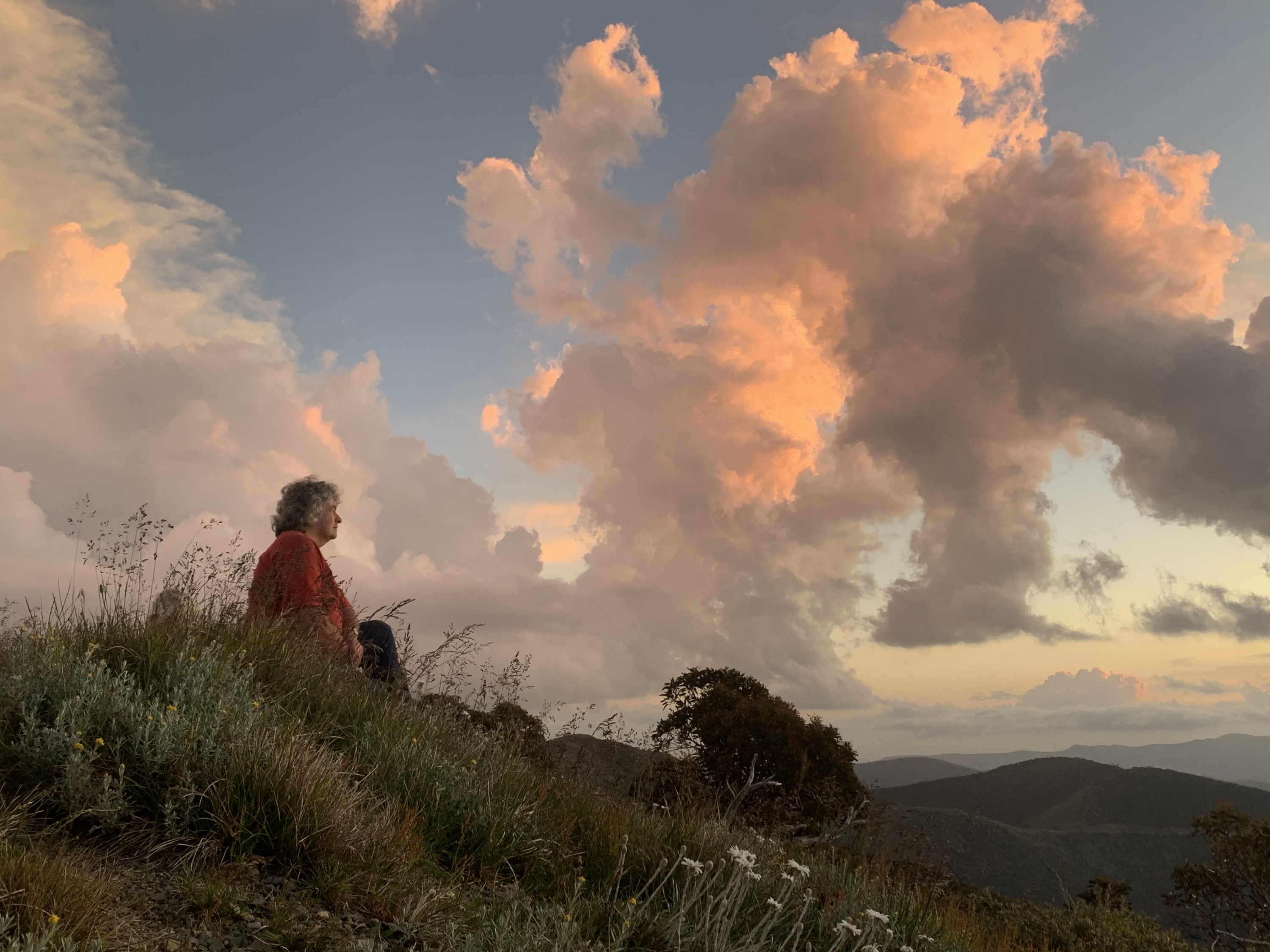 Fire Recovery East Gippsland Blog