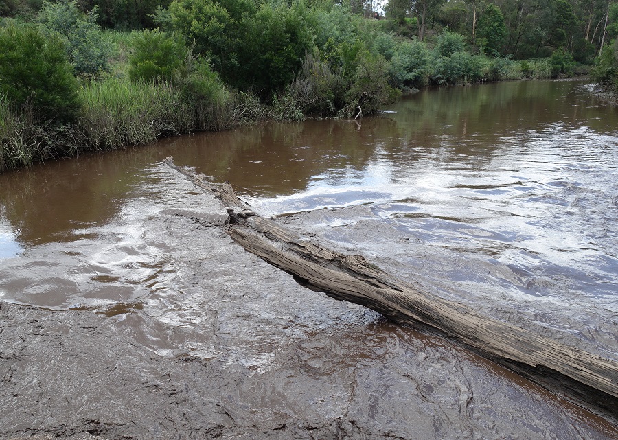 Tambo River Febraury 2020
