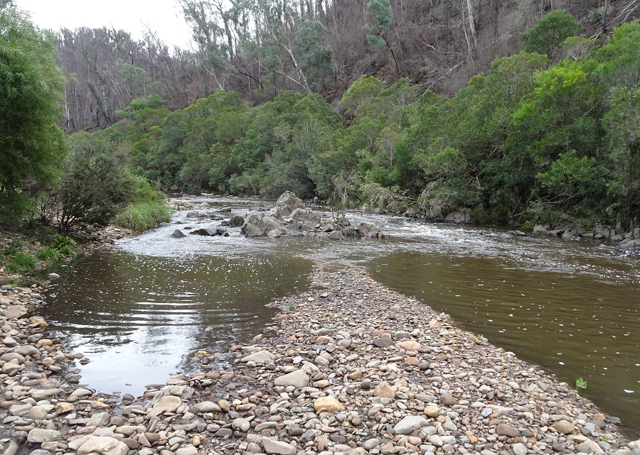 Tambo River July 2020