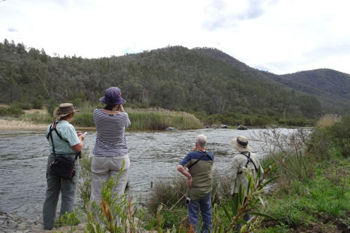 Birds of the Snowy River 490