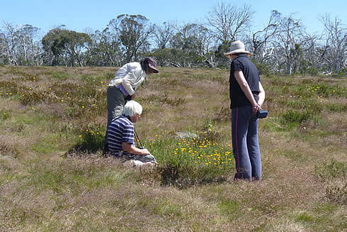 Easy Ecotours  with Gippsland High Country Tours