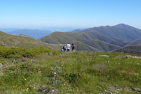 Alpine Discovery Tour