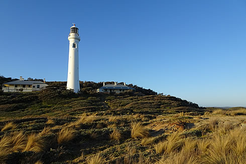 Point Hicks Nature Tour