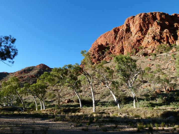 South Aust Outback P Waanders