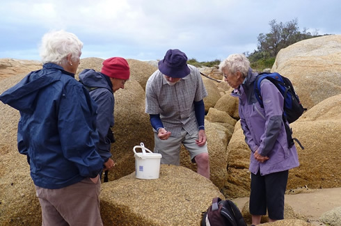 Learn about nature with your own private tour guide