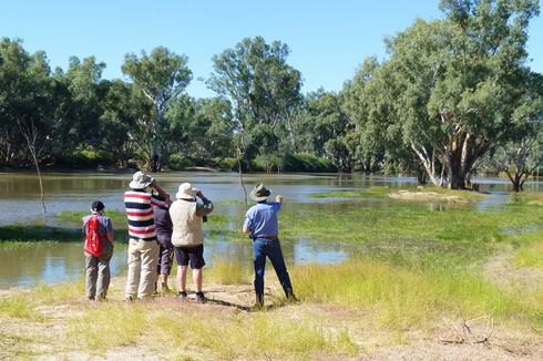 3 Birdwatching with your own personal bird guide